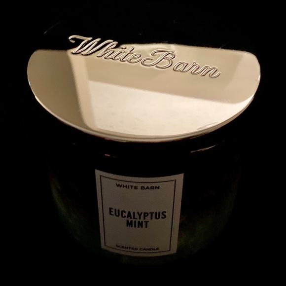 White Barn Eucalyptus Mint Candle - Picture 4 of 5
